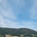 신덕상회 이미지