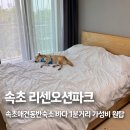 하진세탁소 | 속초 애견동반숙소 추천. 리센오션파크 가격, 주차, 위치, 청결도까지 솔직 후기