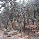 유어초등학교 이미지