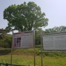 운곡생태습지길 4코스 이미지