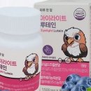 조이빗