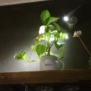 2월호텔대구황금점 이미지