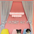 하하호호우리약국 | [경남 통영] 애견동반 통영 숙소 추천 &#39;하하호호프렌드&#39; 내돈내산 솔직 후기