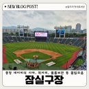 잠실주경기장 남직문외곽 | 잠실구장 중앙네이비석 317블럭 25열 시야/주차/입장시간/먹거리/원정샵/물품 보관함/배터리 대여/야구...