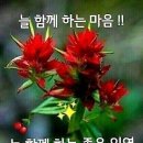 순자엄마 이미지