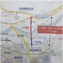 임당유통 Daum카페