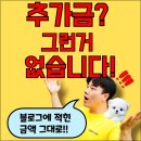 봉한4길-2 | 구미강아지분양 진지하게 결정 했던 후기