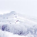 태백산목장 이미지