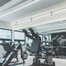 이볼브 트레이닝 이미지