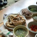 금화애견 | 대구 근교 계곡 식당 “칠곡 가산 금화식당” 아기들 물놀이 하기 좋은 식당