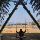 대나무숲길 | 구례 섬진강 대나무숲길 (남도 여행 2일차 코스)