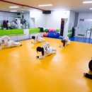 경희대 가온 태권도장 이미지