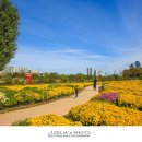 태화강국가정원 이미지