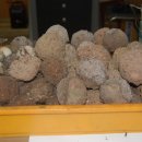 올바른 농원 이미지