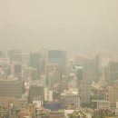 보비쥬의원 이미지