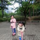 채원복권 이미지