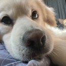 김남혁의원 이미지