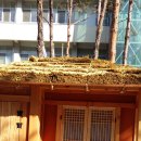 동대문도서관 이미지