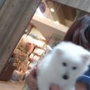 건국 동물병원 이미지