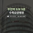 수목요양병원 이미지