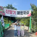 새터농장 네이버블로그