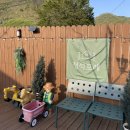 청석포레 이미지