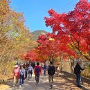 예술공원 수목원 입구 공중화장실 | 경기도 단풍 명소 서울대 안양수목원 개방 가는법 주차장 총정리