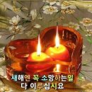 만나보리밥 Daum카페