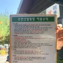 피어하우스나무(PEERHAUS) | 초안산캠핑장 캐빈하우스 후기 장단점,1박2일 편하게