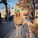달콤산책 OSEN