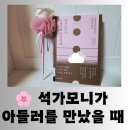 철학, 위로와 지혜가 되다 | [도서] 마음 비우는 법 우뤄취안 "석가모니가 아들러를 만났을 때" 깨달음이 있는 독서 후기