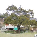 수원-1208 이미지