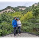 불암산나비정원 이미지