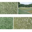 백사체육공원 이미지