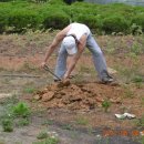 허춘농장 이미지