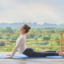 베스트건강메디칼 이미지