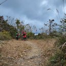 소의초교 이미지