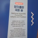 놀이로 배우는 민주주의 이미지