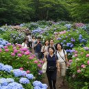 제주인하나여행사 | 제주도 행사전문 여행사 추천! 리얼플랜제주 | 기업행사·워크숍·축제·수학여행·단체여행