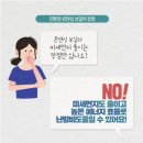 감나무길(태화동) 네이버블로그