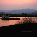 순천만풍경 이미지