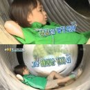 고집(Go집)