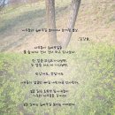 봄나무 - 강릉시 솔올로5번길 52 | 봄나무