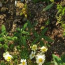 해피농장 이미지