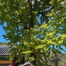 필암 | 장성여행# 필암서원 유네스코세계문화유산 방문후기