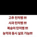 (주) 참존바이오 이미지
