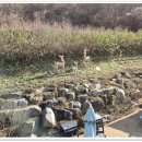 화천써비스 펜션 | 파크골프 동호회와 함께한 화천 펜션 여행 후기