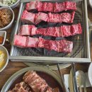 갈비친구들 이미지