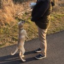 `Netizen 신비 동물의 왕국` 2019. 2. 3(일요특집) 이미지