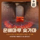 한터로 | 나혼자 산다 기안84 도운도 다녀간 용인 운배마루 숯가마 위치. 가격.꿀팁 리얼후기